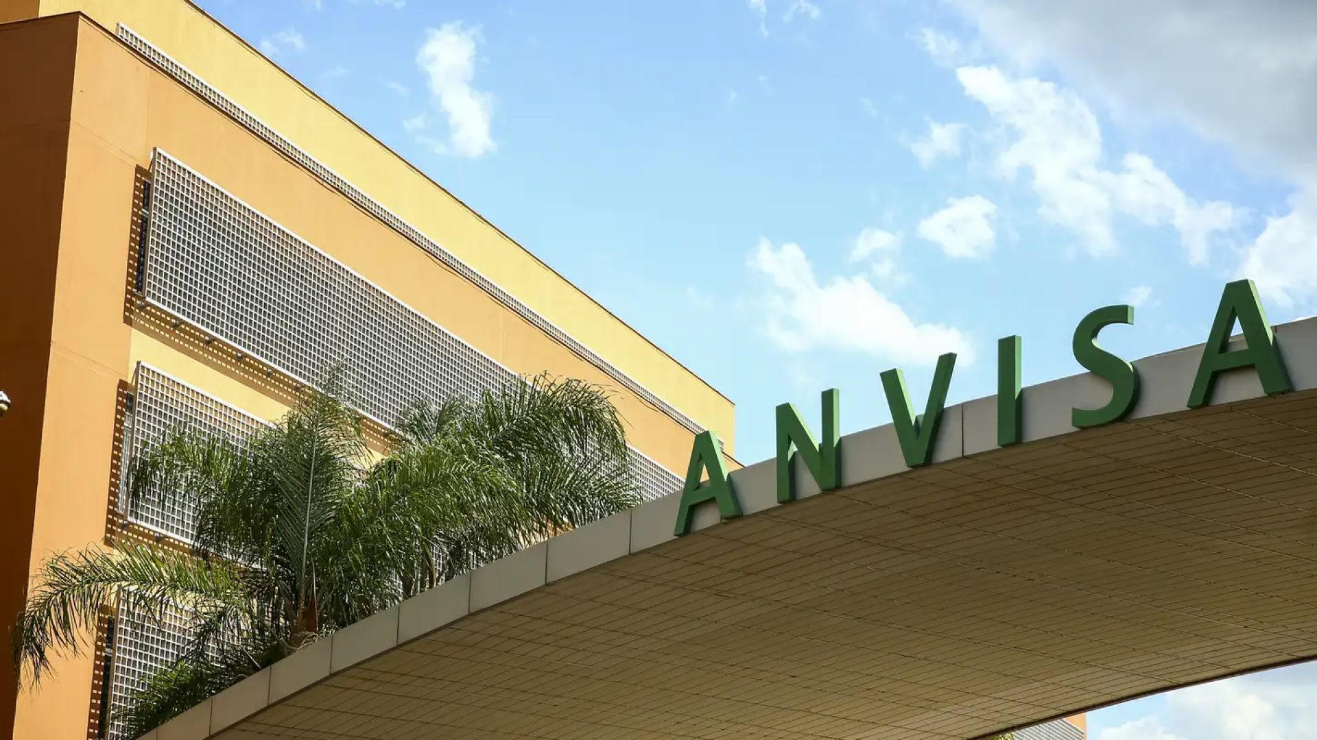 Anvisa aprova medicamento oral para tratar tumores cerebrais