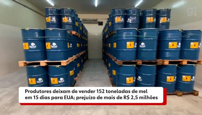 13787993.jpeg