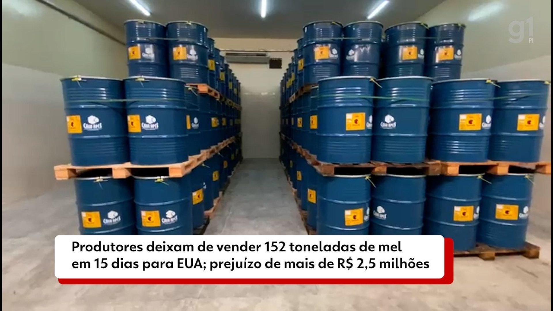 13787993.jpeg