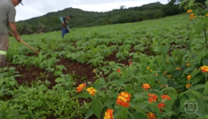 agua-branca-agricultores.jpg