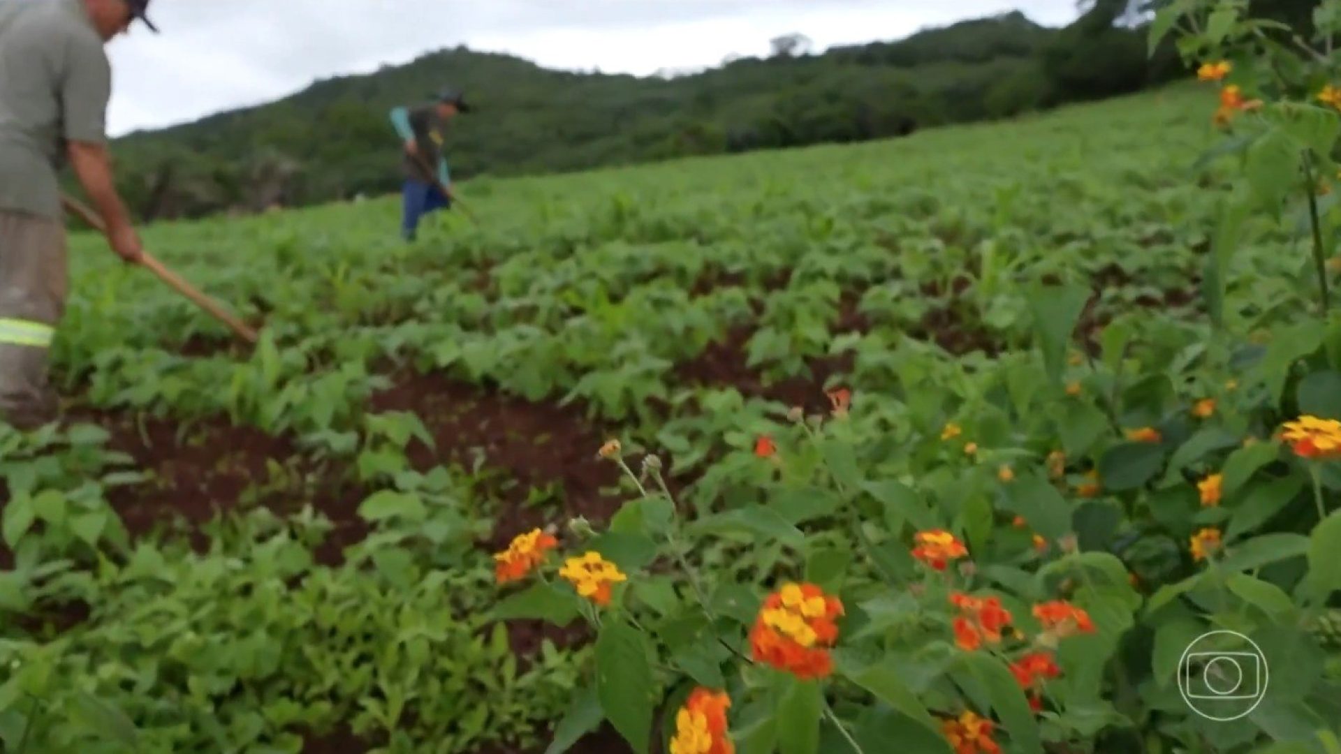 agua-branca-agricultores.jpg