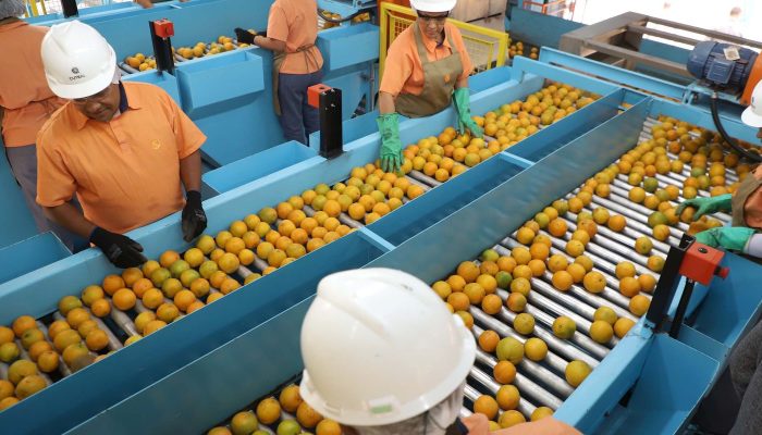 Confira a lista de quase 700 produtos que não serão taxados pelos EUA