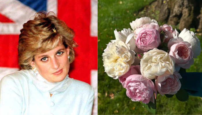 Princesa Diana morreu há exatos 28 anos, em Paris, na França  • Foto 1: REUTERS/Russell Boyce | Foto 2: Instagram/Charles Spencer