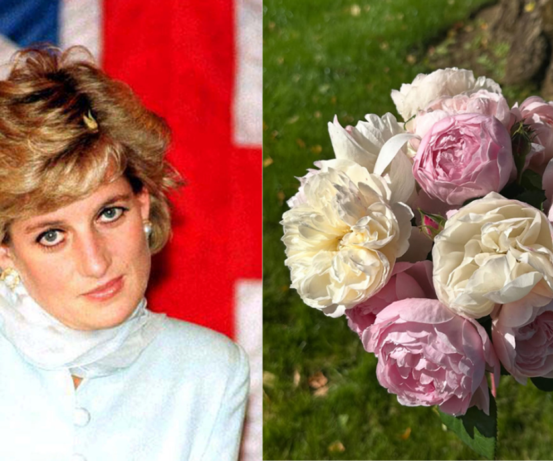 Princesa Diana morreu há exatos 28 anos, em Paris, na França  • Foto 1: REUTERS/Russell Boyce | Foto 2: Instagram/Charles Spencer
