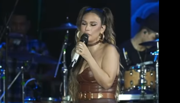 Simone Mendes ganha presente inusitado no São João e viraliza na web; assista